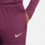 Nike M NK DF STRK PANT KPZ Red