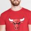 NBA Logo pánské tričko Bulls