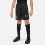 Nike Academy Player Edition:CR7 Big Kids' Dri-FIT Shorts Black/Green