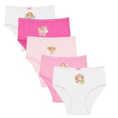 Character Disney Princess 5PK Knickers Paw Patrol