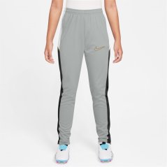 Nike Academy Training Tracksuit Bottoms Juniors Grey/Gold