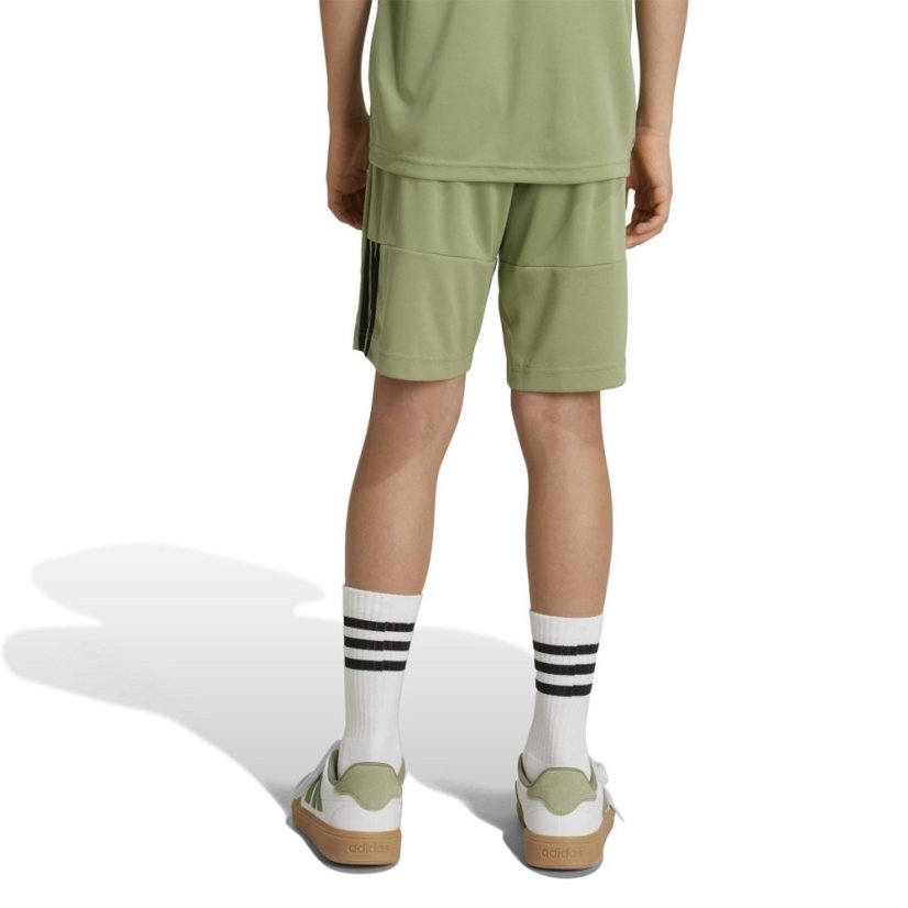 adidas Sereno Training Shorts Juniors Tent Green