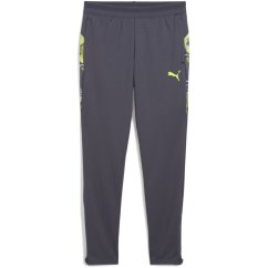 Puma Individualcup Training Pants Jr Tracksuit Bottom Unisex Kids Galactic Gra