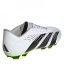 adidas Predator Accuracy.4 Firm Ground Football Boots Wht/Blk/Lemon
