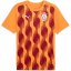 Puma Galatasaray Prematch Shirt 2024 2025 Adults Red/Orange