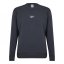 Reebok Sweatshirt Pure Grey 7
