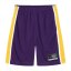 Everlast Basketball Set Junior Purple/Yellow