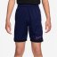 Nike Academy Shorts Juniors Blue/Pink