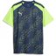 Puma LIGA Graphic Jersey Blue/Green