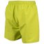 Arena Mens Fundamentals Logo R Beach Boxer Soft Green