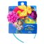 Disney Encanto Multicoloured Flower and Butterfly Headband Multi