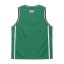 Everlast Basketball Set Junior Green/White