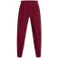 Under Armour OutRun The Storm Pants Red