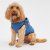 Character Family Lilo & Stitch Dog Outfit Lilo & Stitch