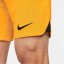 Nike Netherlands 2022 Stadium Home Adults Orange