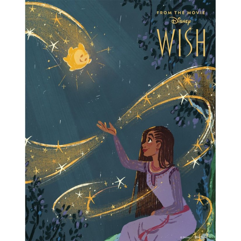 Disney Wish Poster Wall Art Black