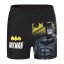 Character Character 2 piece Swimsuit Set Infants Batman