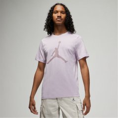 Air Jordan Big Logo pánské tričko Purple