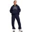 Under Armour Women's Icon Heavyweight Oversized Hoodie Blue