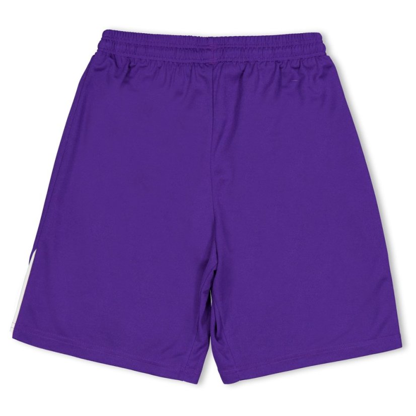Puma (F3) Fb Team Shorts With Brief Juniors Purple