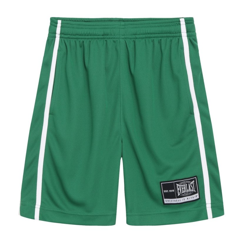 Everlast Basketball Set Junior Green/White