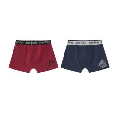 Character Boxer Briefs for Boys Harry Potter