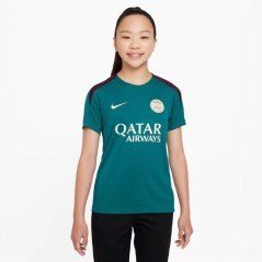 Nike Paris Saint Germain Strike Top 2024 2025 Juniors Green