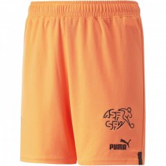 Puma Switzerland Shorts Replica Juniors 2022 Neon Citrus