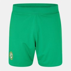 Castore Ireland Home Shorts 2024 Adults Green