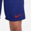 Nike Netherlands Away Dri-FIT Football Shorts 2022/2023 Mens Blue