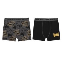 Character Boxer Briefs for Boys Batman