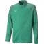 Puma Unisex Kids' Moisture-Wicking Performance Training Jacket Pepper Green