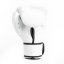 Everlast Core2 Boxing Glove White