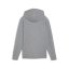 Puma TeamFINAL Casuals Hooded Jacket Grey