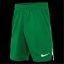 Nike Unisex Kids' Performance Gym Shorts Pine Green/Wht
