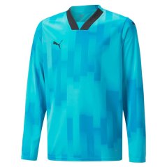 Puma TeamTARGET Goalkeeper Long Sleeves Jersey Blue