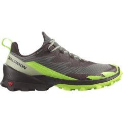 Salomon Crossover 2 GTX Mens Walking Shoe Black/Green