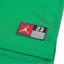 Air Jordan 23 Mesh Jersey Lucky Green