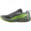 Salomon Sense Ride 5 Men's Trail Running Shoes Black/Green