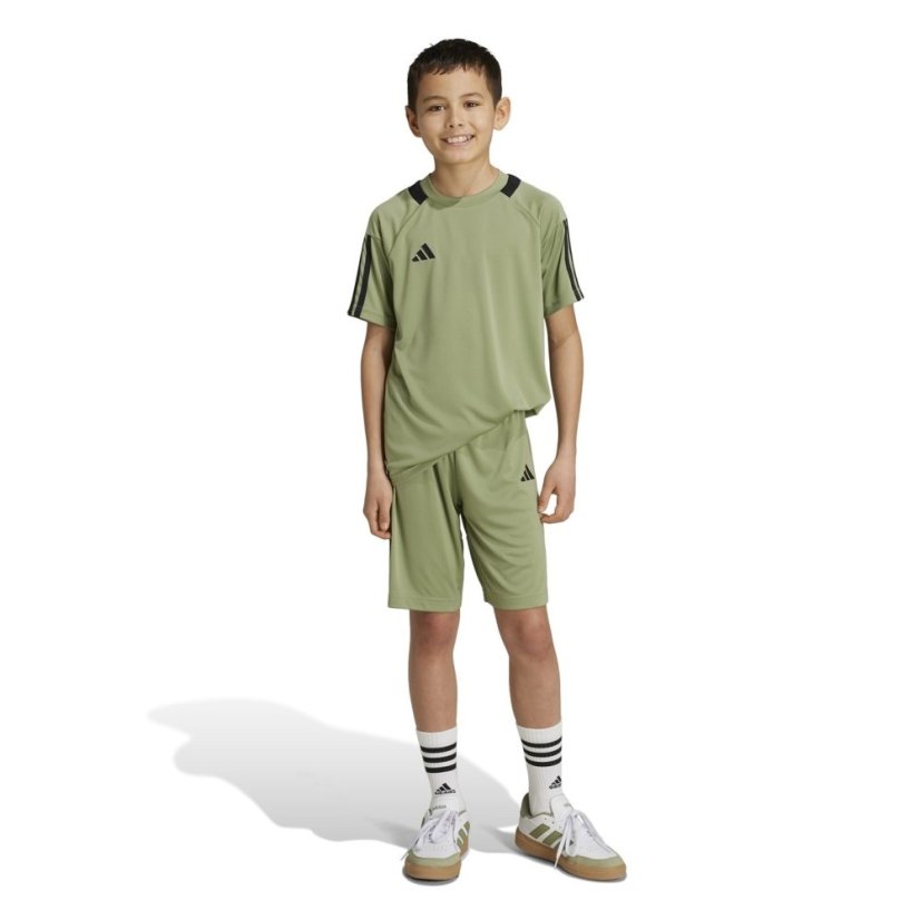 adidas Sereno Training Shorts Juniors Tent Green