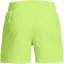 Under Armour Men's Launch Performance Gym Shorts Green