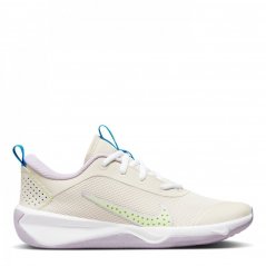 Nike Omni Multi-Court Big Kids' Indoor Court Shoes Light Orewood Brown/Lilac