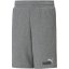 Puma 2 Col Shorts TR B Med Gry Heat