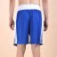 Everlast Everlast Boxing Shorts Blue/White