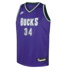 Nike Milwaukee Bucks Antetokounmpo #34 Jersey Purple