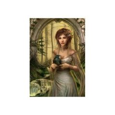 Puzzle Chris Ortega: Vrána