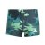 adidas Graphic Swim Boxers Mens Aurora Ivy