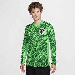 Nike Netherlands Women's Team Goalkeeper Shirt 2024 Adults Green Spark