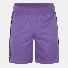 Money Colour Pack Shorts Plum