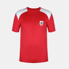 FIFA Mens Wales Short Sleeve T-Shirt Red